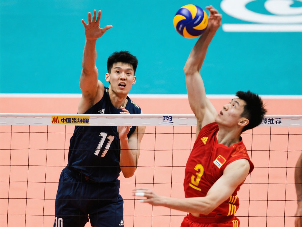 需要先出售 需要先出售